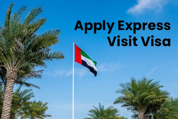 Visa Services | Casa Business Services